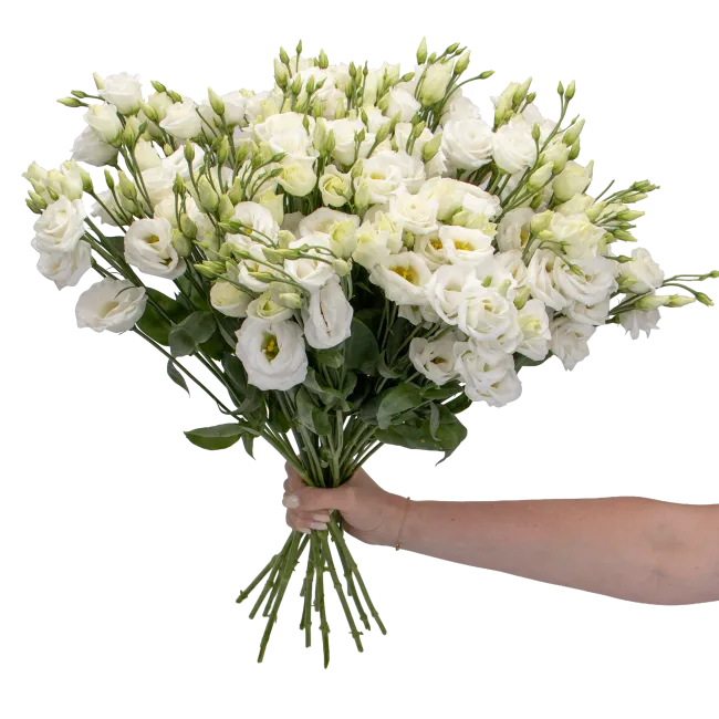 Lisianthus bouquet